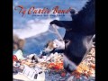 Ty Curtis Band - Out In The Country 