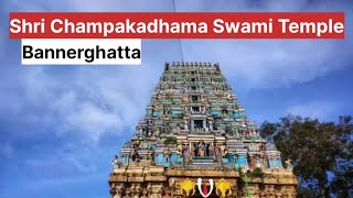 Temple video