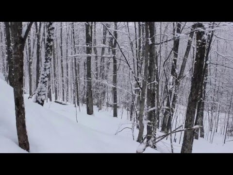 download lagu mp3 mp4 Winter Wonderland Snow, download lagu Winter Wonderland Snow gratis, unduh video klip Winter Wonderland Snow