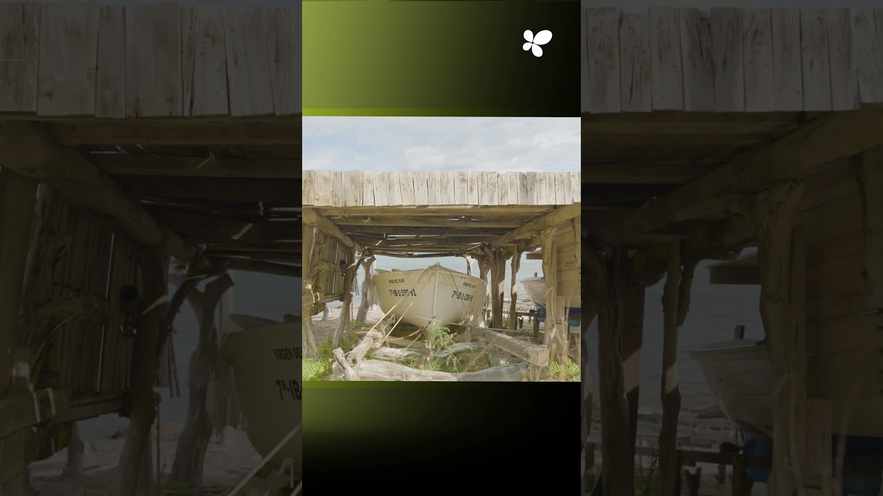 Projekt zur Modernisierung des Straßenbelags und verschiedener Dienste in der Infrastruktur in Es Pujols