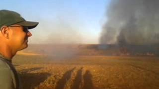 preview picture of video 'CABECEIRAS: Fogo destrói plantações de três fazendas do município.'