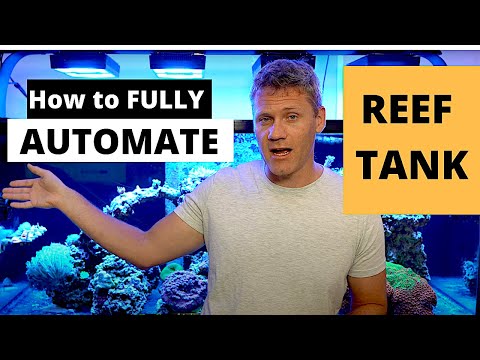 How to fully automate saltwater tank