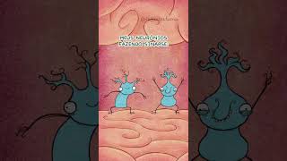 Meus neurônios fazendo sinapse: