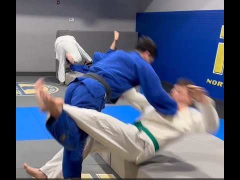 Ashi Waza - Ouchi Gari ( Large Inside Reaping Right Side )
