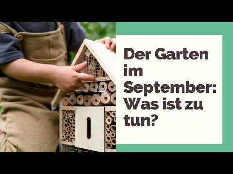Der Garten im September: Was jetzt zu tun ist