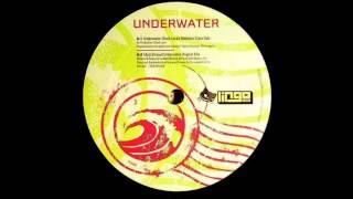 MATT SHREWD -  Underwater - (Chuck Love's Biddness Class Dub)