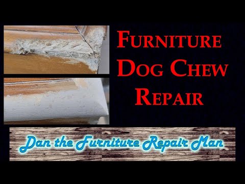 Furniture Dog Chew Repair Part 1