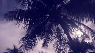 Saint Aslan "Seekers Of The Truth" (Spokenword)