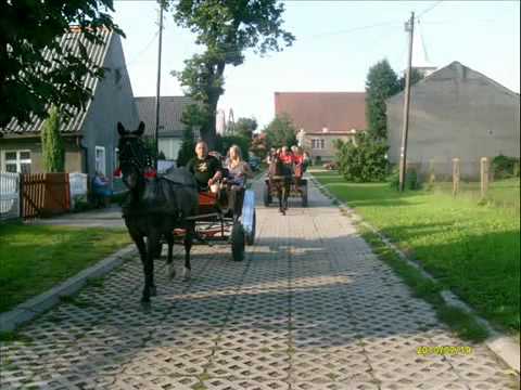Agro-Horse -Agroturystyka Bobrowniki