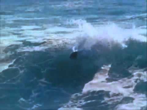 The Lights Really Bad