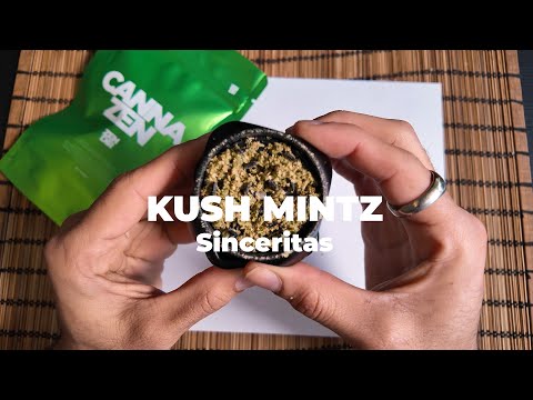 Kush Mintz Sinceritas: Menthol Kush Terpene Profile