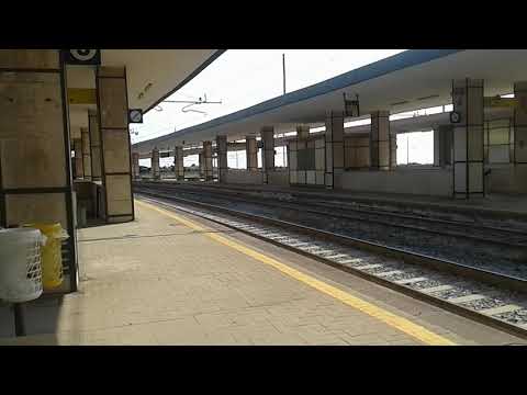 UN GRANDE CHE NON MORIRÀ MAI 💪💪💪💪💪