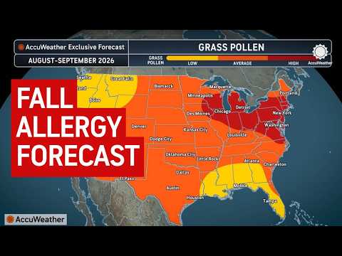 Pollen Count In San Antonio Today