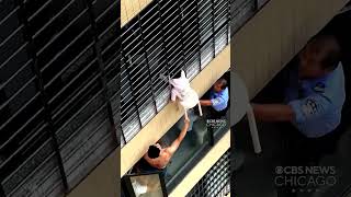 Video thumbnail image