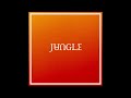 Jungle Back On 74 432 Hertz