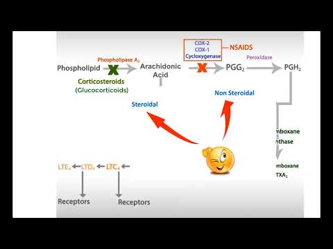Ant-inflammatory drugs. Steroids , NSAIDs and leukotrienes inhibitors