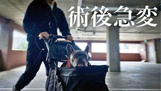 【緊急】術後、急変。1週間も経たず再手術に… 心が追いつかない