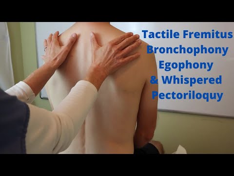 Tactile Fremitus, Bronchophony, Egophony, Whispered Pectoriloquy