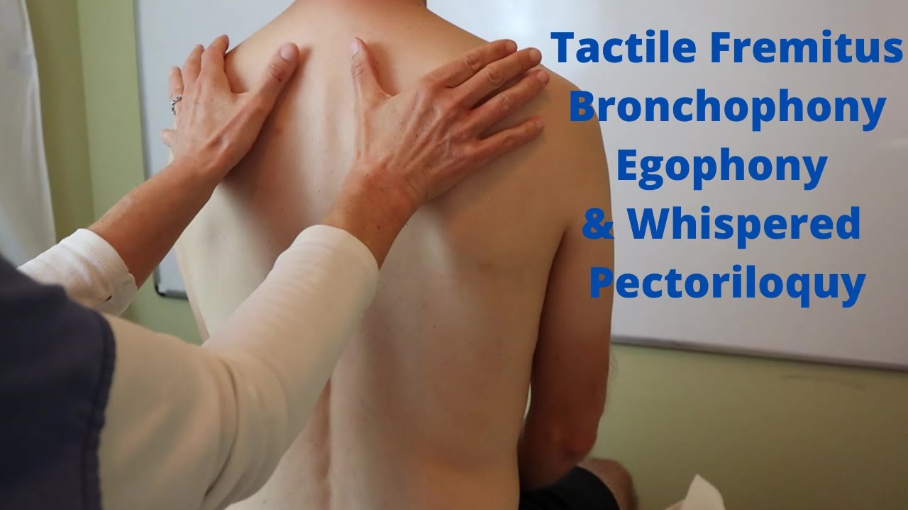 Tactile Fremitus, Bronchophony, Egophony, Whispered Pectoriloquy