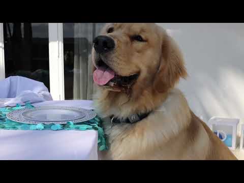 Bela Foto Studio video.