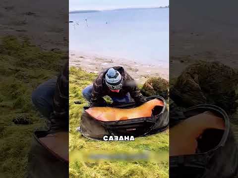 Экскаватор НАШЁЛ гигантскую рыбу и защитил🐟😱✅