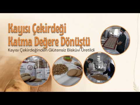 Kayısı Çekirdeği Katma Değere Dönüştü Glütensiz Bisküvi Üretimi Başladı