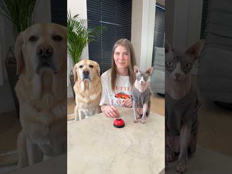 Дени сильно удивил🙈