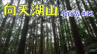 小百岳 向天湖山 賽夏族的聖地 絕美的柳杉林