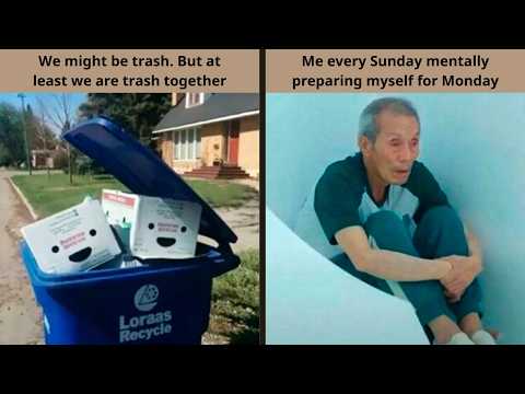 Memes That Feel Like They Came From A Completely Different Internet