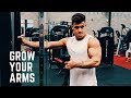 How To Build The Bicep Peak | Full Arm Day