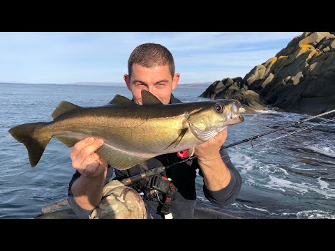 Lure Fishing for Pollack - UK Shore fishing | The Fish Locker