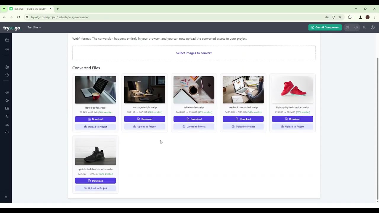 TrySetGo – Image Optimization & Conversion to WebP