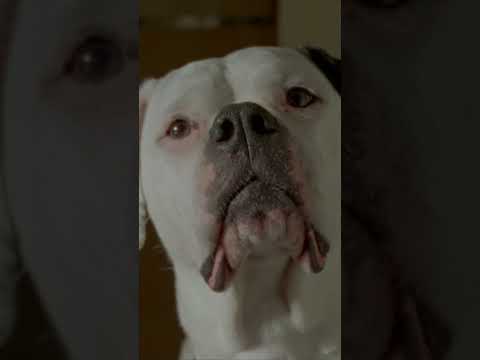 "Andrea Riseborough and Brenda Blethyn are at the top of their game" (Hollywood Reporter)