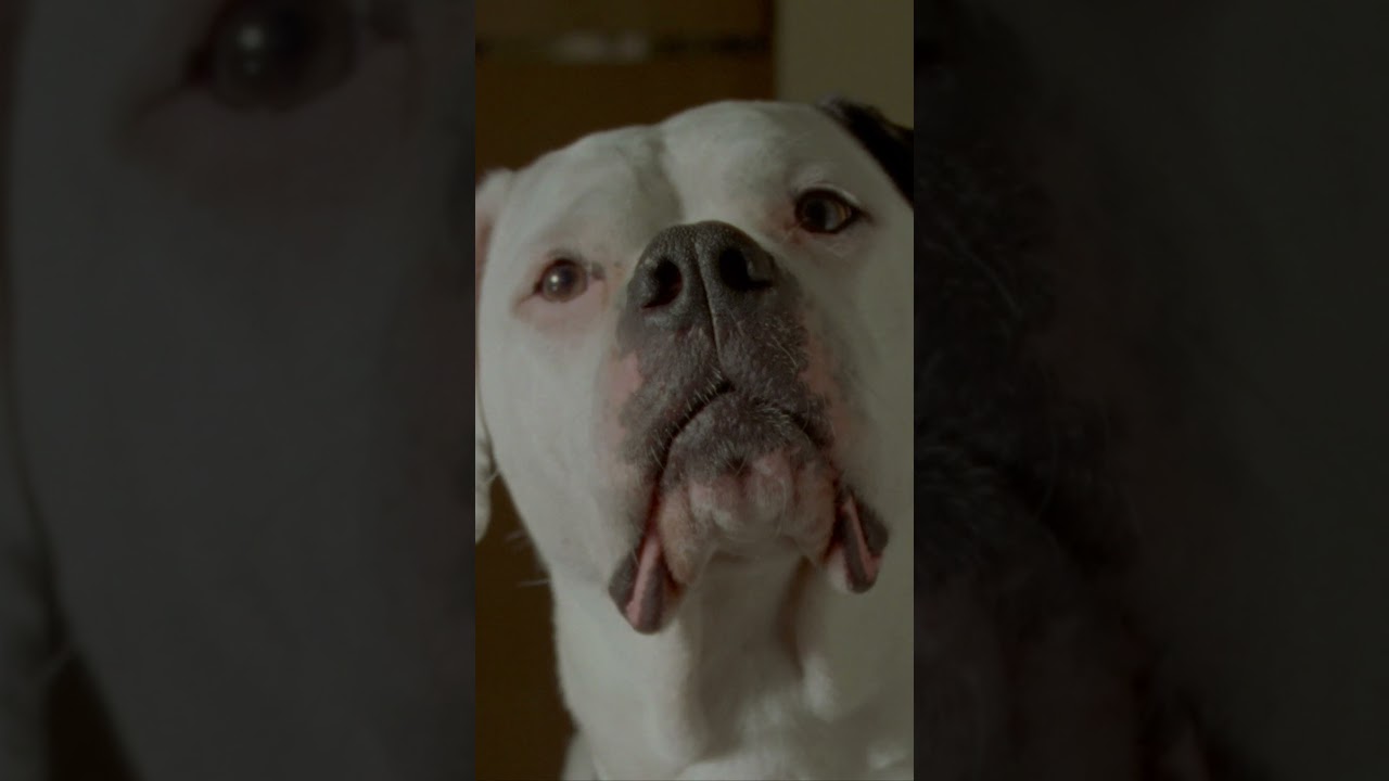 "Andrea Riseborough and Brenda Blethyn are at the top of their game" (Hollywood Reporter)