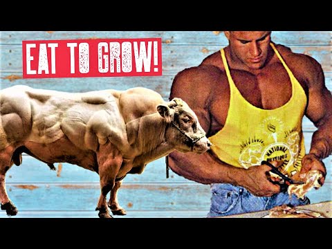 100,000 $ ON FOOD - PEOPLE THOUGHT I WAS CRAZY - BODYBUILDING LIFESTYLE MOTIVATION 🔥