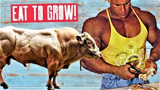 100,000 $ ON FOOD - PEOPLE THOUGHT I WAS CRAZY - BODYBUILDING LIFESTYLE MOTIVATION 🔥