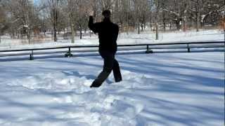 preview picture of video 'Doing some BaGua in the snow'