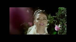 كلمات اغنية جديد عليا دوللي شاهين