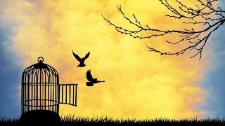 Inner Journey Guided Meditation | Flight to Freedom | Releasing Guilt and Negativity