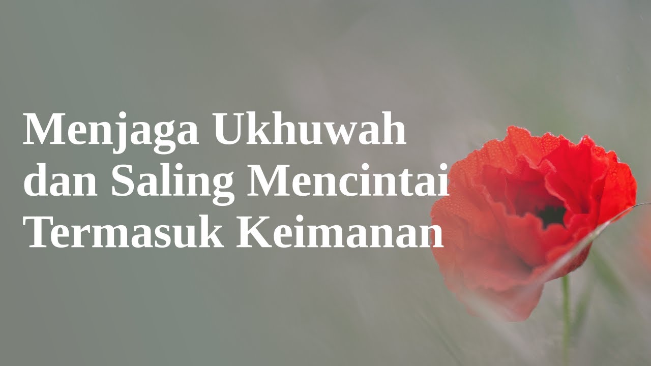 MENJAGA UKHUWAH DAN SALING MENCINTAI TERMASUK KEIMANANhttps://youtu.be/wb5CZJlzB…