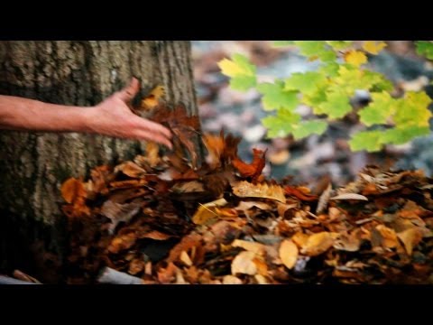 如何搭建戶外避難所的屋頂｜生存技能。 (How to Build Roof for Outdoor Shelter | Survival Skills)