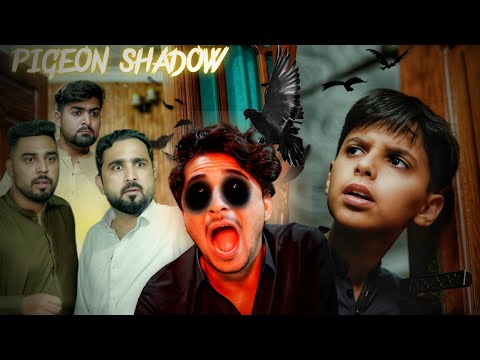 Pigeon shadow in children horror short movie Zindabad vines  2025