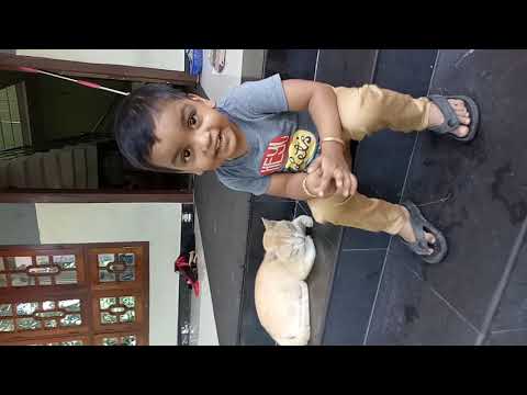 Diyan playing with cat