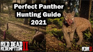 Perfect Panther Hunting guide for beginner in 2021 - Red Dead Redemption 2 - RDR2