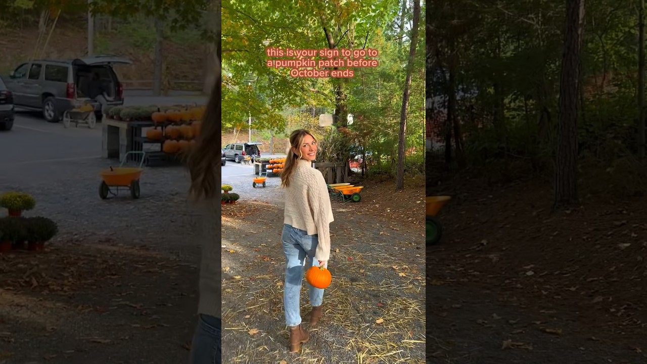 this is your sign to go to a pumpkin patch!!🎃🫶🏼🍁 #shorts #fall #pumpkin #college #festival
