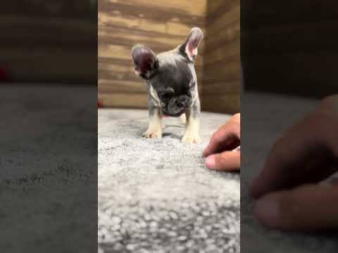 Video 2