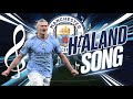 Haaland Song