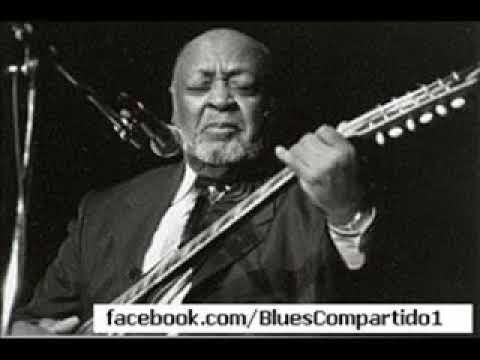 Robert Lockwood Jr. - Park Tower Hall, Park Tower Blues Festival, Tokyo, Japan. 1995