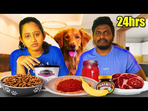 බව්වන්ගෙන් අහලා අපි මුලු දවසම කාපු දේවල් 🤢🤮 Letting MY DOGS Decide What We Eat For 24 HOURS!