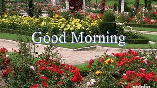 Pretend - Brenda Lee